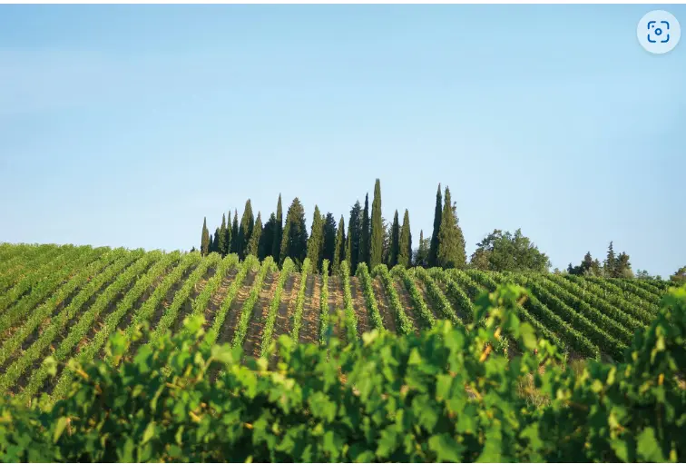 スクリーンショット 2025-02-27 144900.png