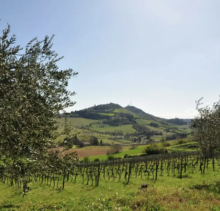 スクリーンショット 2025-02-27 151319.png