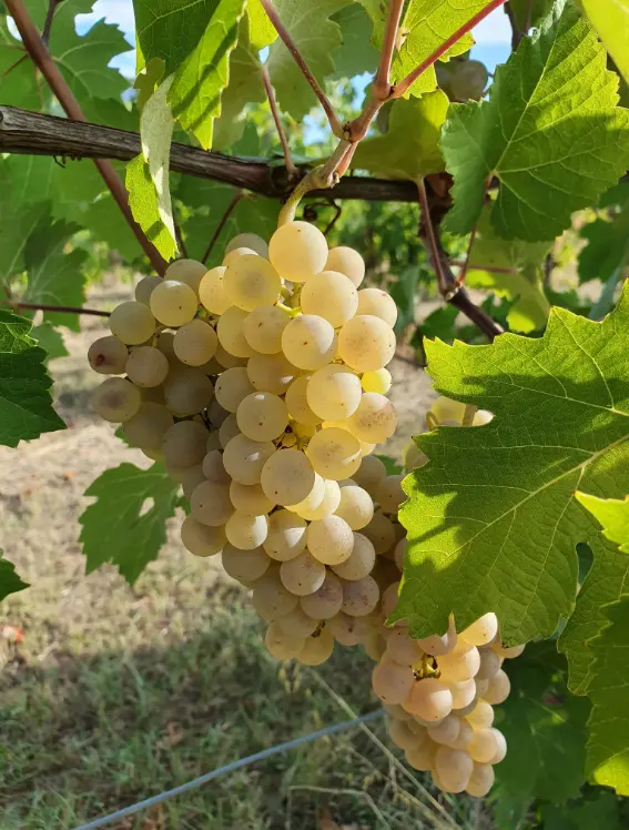 スクリーンショット 2025-02-27 151358.png