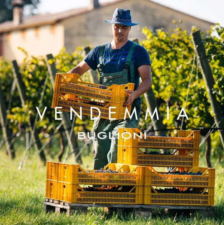 スクリーンショット 2025-02-27 153745.png