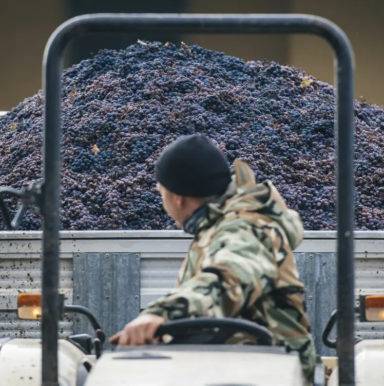 スクリーンショット 2025-02-27 153808.png