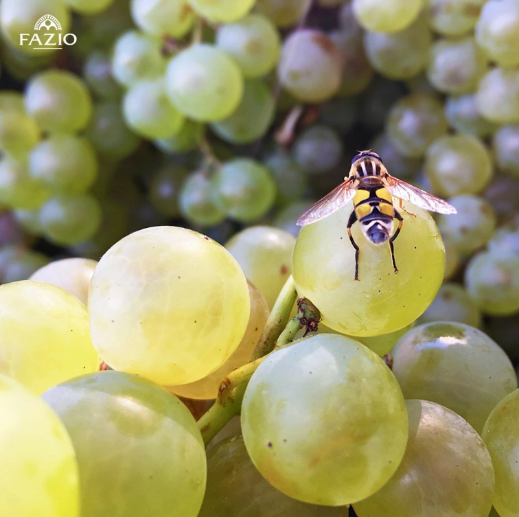 スクリーンショット 2025-02-27 154518.png