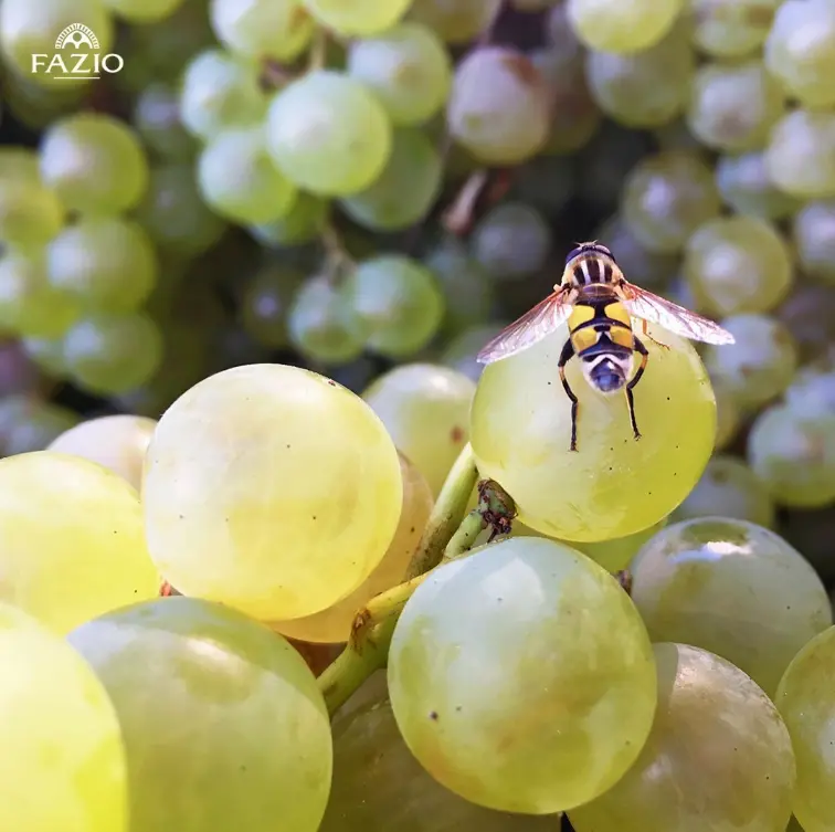 スクリーンショット 2025-02-27 154518.png