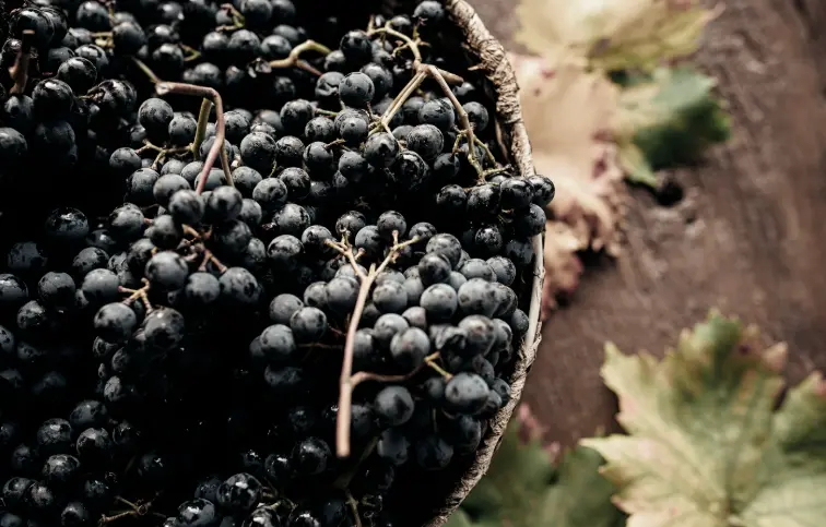 スクリーンショット 2025-02-28 114628.png