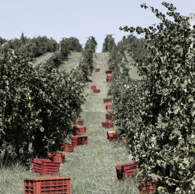 スクリーンショット 2025-03-03 111654.png