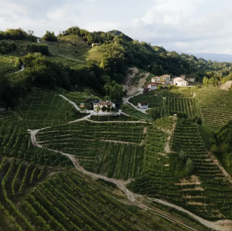 スクリーンショット 2025-03-03 114630.png