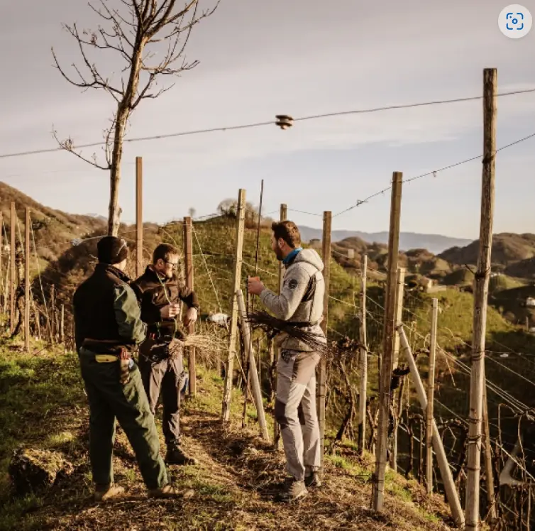 スクリーンショット 2025-03-03 114943.png