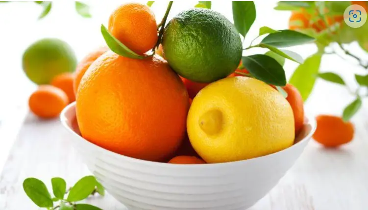 スクリーンショット 2025-03-03 152107.png