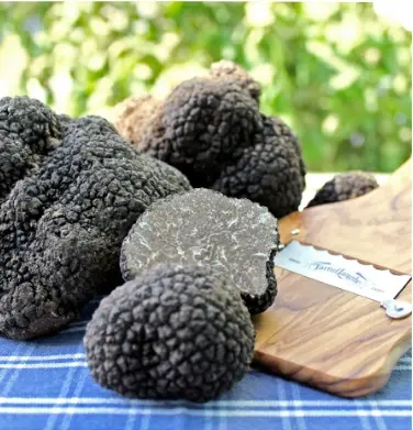 TARTUFLANGHE（タリュトゥフランゲ） 冷凍 サマートリュフ