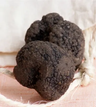 TARTUFLANGHE（タリュトゥフランゲ） 冷凍 冬黒トリュフ