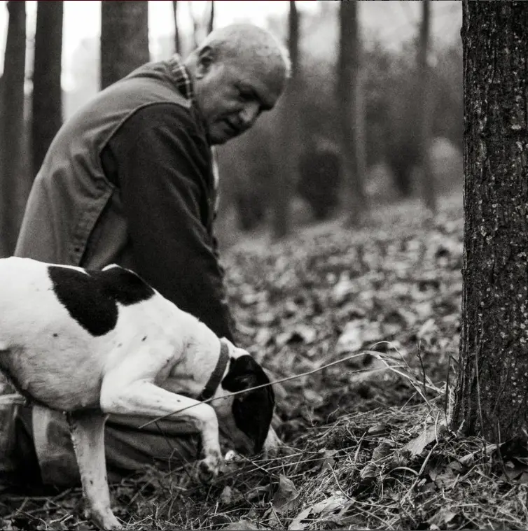 スクリーンショット 2025-03-03 161214.png