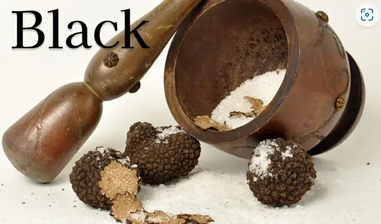 スクリーンショット 2025-03-03 162056.png