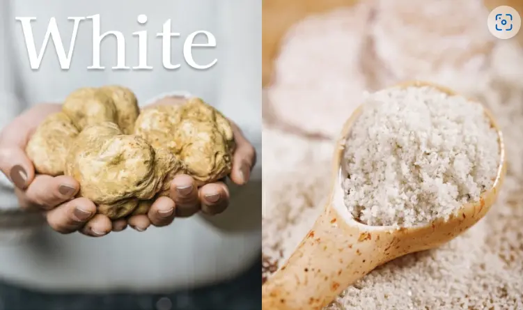 スクリーンショット 2025-03-03 162939.png