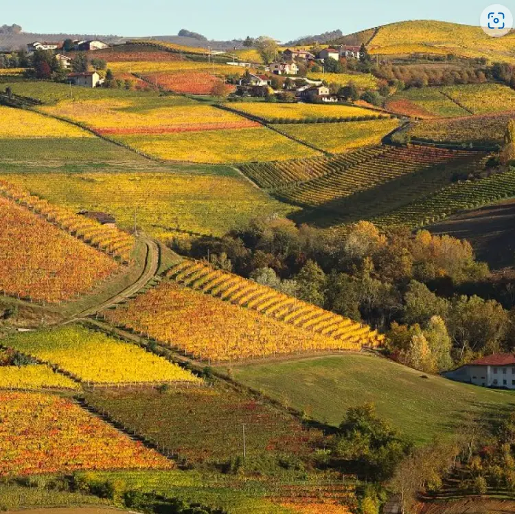 スクリーンショット 2025-03-03 163408.png