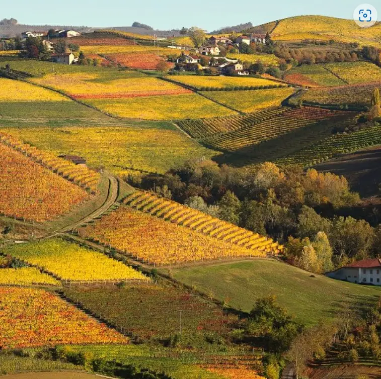 スクリーンショット 2025-03-04 110447.png