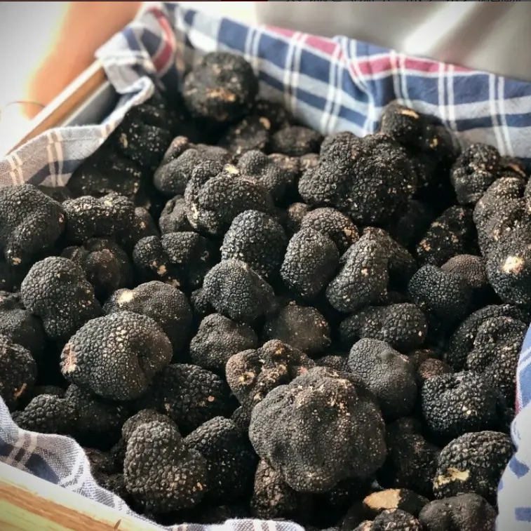 スクリーンショット 2025-03-04 133212.png