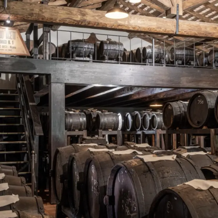 スクリーンショット 2025-03-05 173904.png