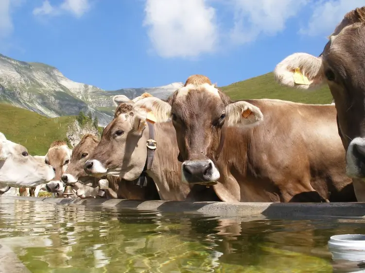 スクリーンショット 2025-03-06 144317.png