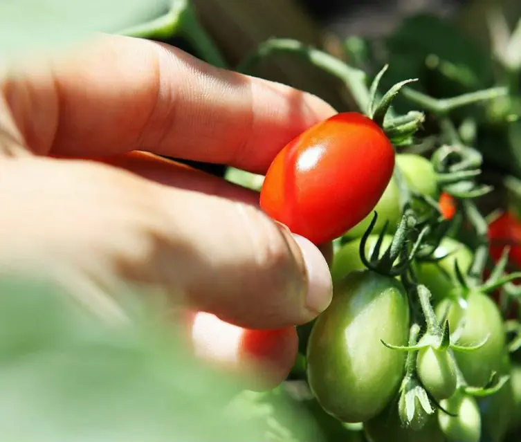 スクリーンショット 2025-03-06 155420.png