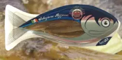 AGOSTINO RECCA(アゴスティーノ レッカ) アンチョビ オイル漬け