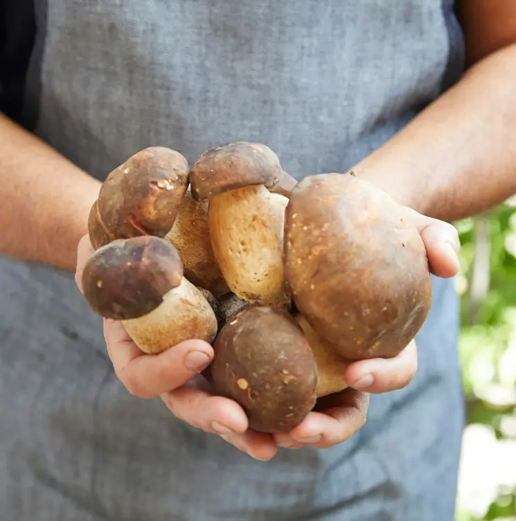 スクリーンショット 2025-03-06 181129.png