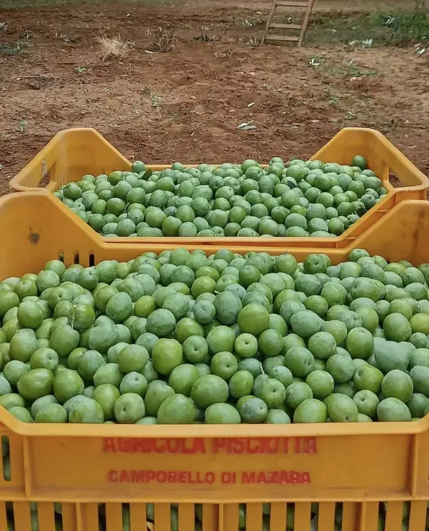 スクリーンショット 2025-03-06 182025.png