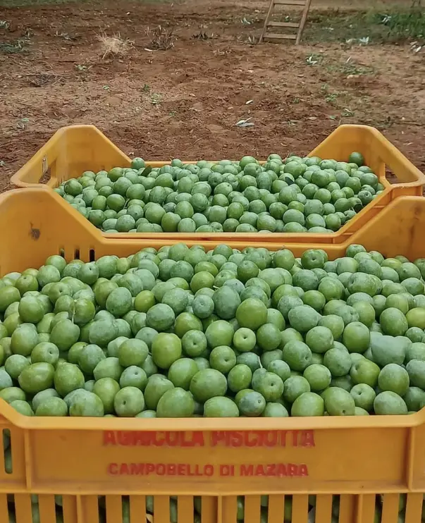 スクリーンショット 2025-03-06 183355.png