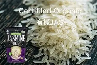 スクリーンショット 2025-04-10 132641.jpg