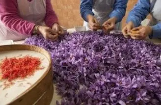 スクリーンショット 2025-04-11 154722.jpg