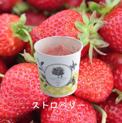 ミキエラン ストロベリー