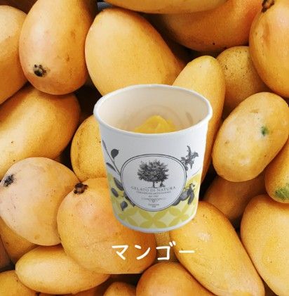 ミキエラン マンゴー