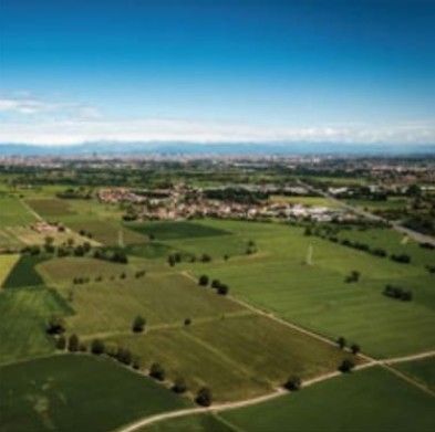 イタリアの伝統を詰め込んだフルーツピューレ100%をお届け