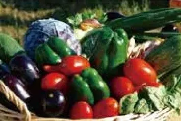 クロップローテーション