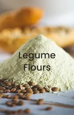 PAULA Ingredients  乾燥豆類粉