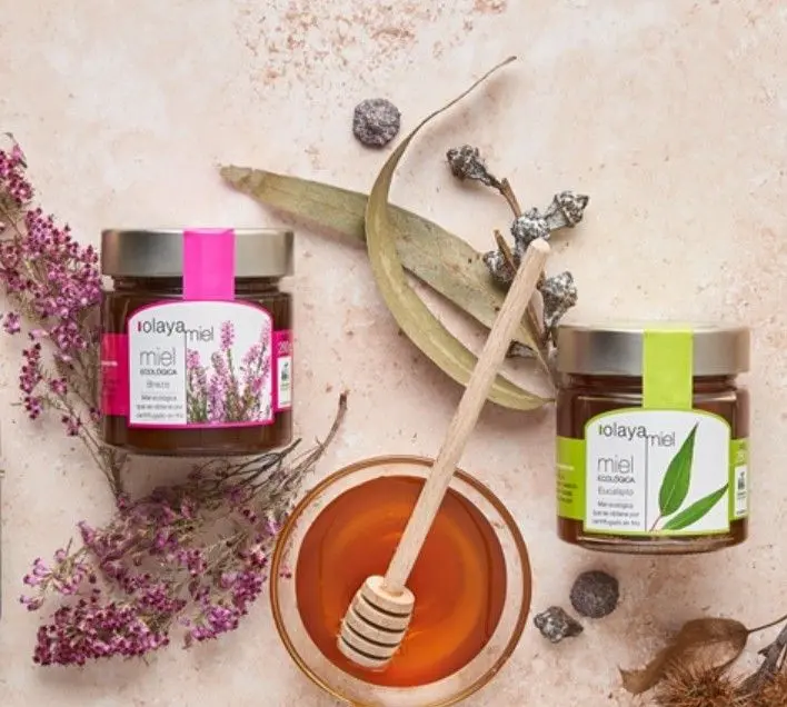 スクリーンショット 2025-09-12 141708.jpg