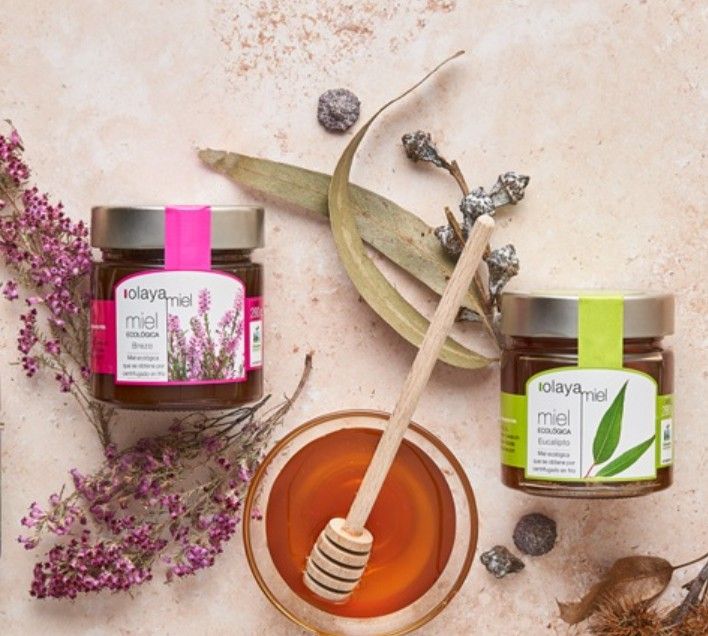 スクリーンショット 2025-09-12 141708.jpg