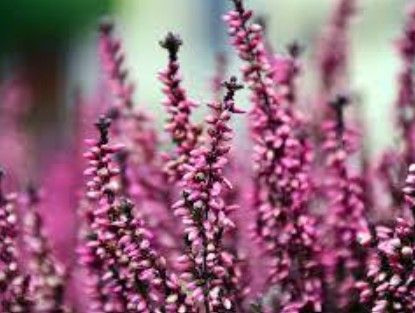 スクリーンショット 2025-09-12 141944.jpg