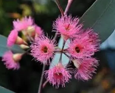 スクリーンショット 2025-09-12 141954.jpg