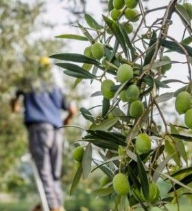 スクリーンショット 2025-09-12 142159.jpg