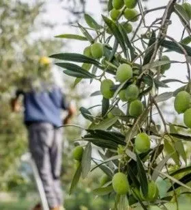 スクリーンショット 2025-09-12 142159.jpg