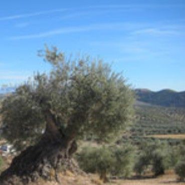 スクリーンショット 2025-09-12 142342.jpg