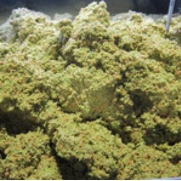 スクリーンショット 2025-09-12 142417.jpg