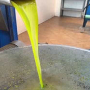 スクリーンショット 2025-09-12 142428.jpg