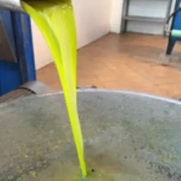 スクリーンショット 2025-09-12 142428.jpg