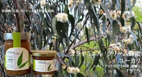 スクリーンショット 2025-09-17 144700.jpg