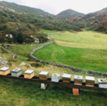 スクリーンショット 2025-09-17 144927.jpg