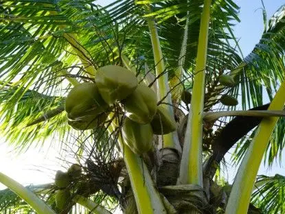 スクリーンショット 2025-12-05 144633.jpg