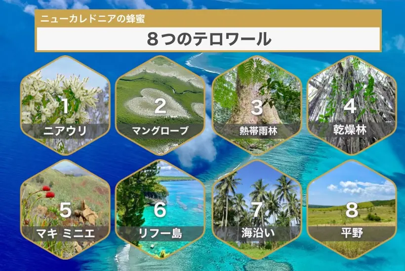 スクリーンショット 2026-06-09 140830.webp