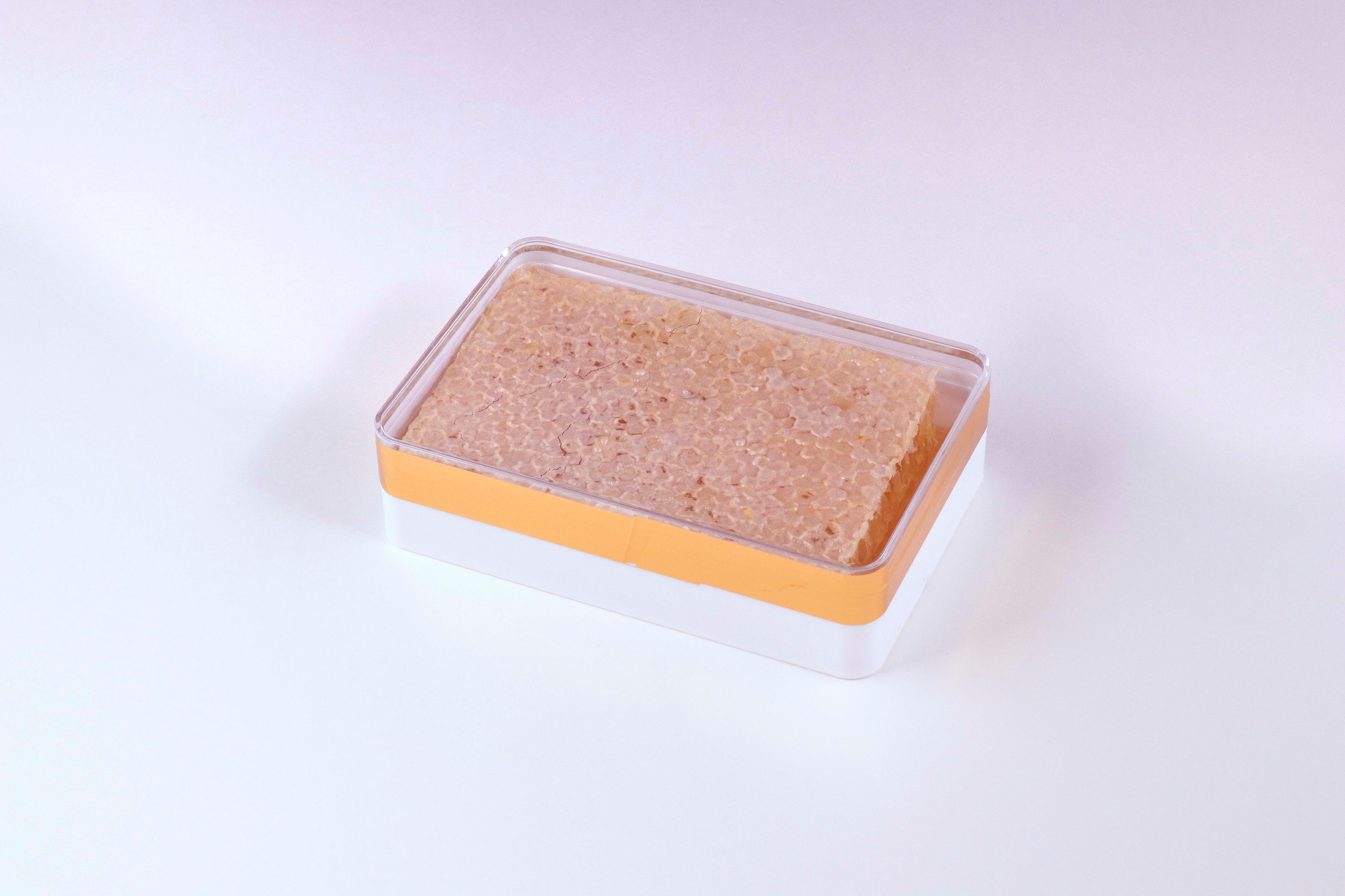 Biene Biene ビーネビーネ Hungary Acacia Comb Honey アカシア コムハニー 400g 