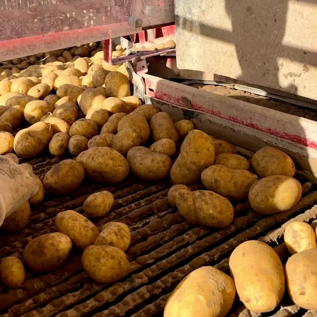 低温調理で脂肪を抑え、塩分使用も控えめに